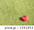 1391853