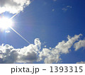 1393315