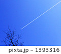 1393316