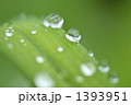 雨粒