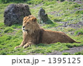百獣の王