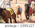 子馬のレース
