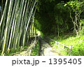 竹林