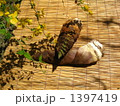 筍と山吹