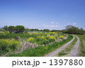 田舎道