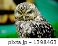 富士花鳥園での撮影