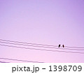 1398709