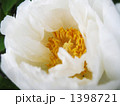 1398721