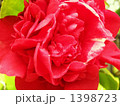 1398723