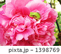 1398769