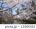 春色の弘前公園