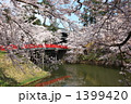杉の大橋と南内門