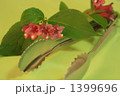 1399696