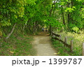 新鮮な空気　青葉のトンネル散歩道