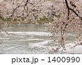 花吹雪
