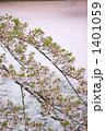 桜と花いかだ