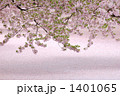 桜と花いかだ
