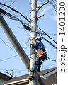 電柱立て替え工事