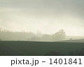 1401841