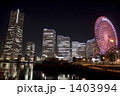 よこはまコスモワールド横浜の夜景