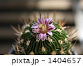 1404657