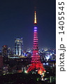 東京タワー　ダイヤモンドヴェール
