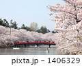 弘前公園 桜と春陽橋