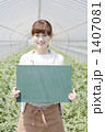 1407081