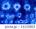 TIEDYE0105