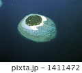 バビンファル島空撮