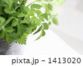 1413020