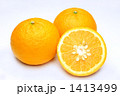 甘夏柑