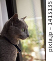 1415135