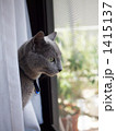 1415137