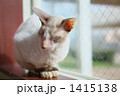 1415138