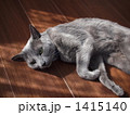1415140