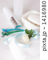 Rose-12■Lavatory■