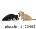反省
