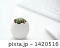 1420516
