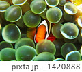こんにちは