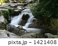 段戸山高原