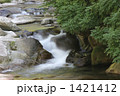 段戸山高原