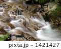 段戸山高原