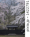 秋田　角館の枝垂れ桜