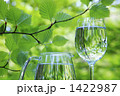 森とコップの水