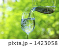 森とグラスの水