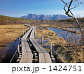 沼原湿原 芽吹きの頃