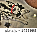 1425998