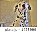 1425999