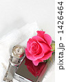 Rose-04